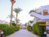 Dive Inn Resort