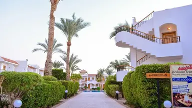 Dive Inn Resort