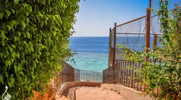 Dive Inn Resort