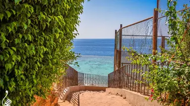 Dive Inn Resort