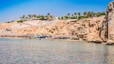 Dive Inn Resort