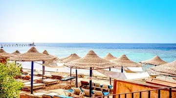 Dive Inn Resort