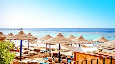 Dive Inn Resort