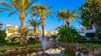 Dive Inn Resort