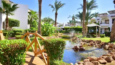 DIVE INN