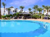 DIVE INN