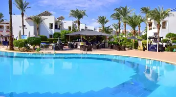 DIVE INN