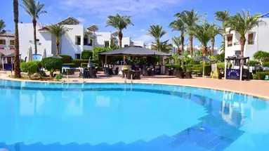 DIVE INN
