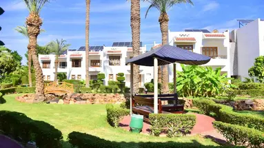 DIVE INN