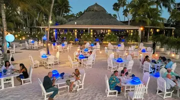 Divi Aruba Phoenix Beach Resort