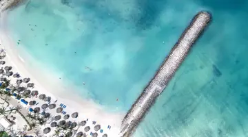 Divi Aruba Phoenix Beach Resort