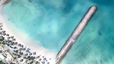Divi Aruba Phoenix Beach Resort