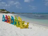 Divi Aruba Phoenix Beach Resort