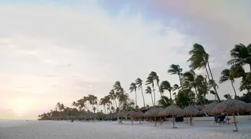 Divi Dutch Village Beach Resort