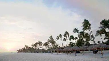 Divi Dutch Village Beach Resort