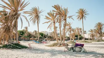 Djerba Castille