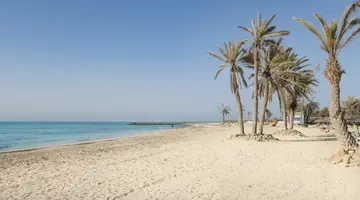 DJERBA CASTILLE