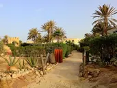 DJERBA CASTILLE