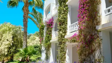 Djerba Resort