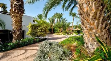 Djerba Resort