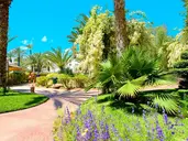 Djerba Resort
