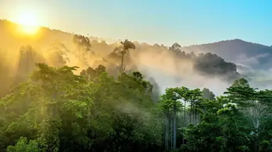 Do Serca Borneo + Hotel Holiday Villa Resort & Beachclub****