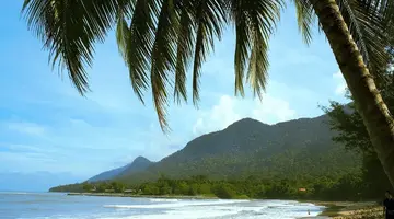 Do Serca Borneo