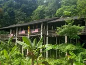 Do Serca Borneo