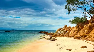 Do Serca Borneo