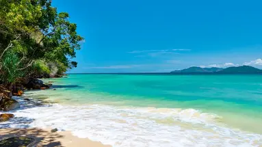 Do Serca Borneo