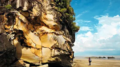 Do Serca Borneo
