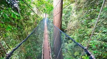 Do Serca Borneo