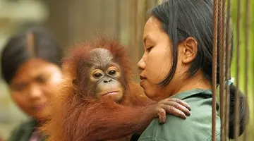 Do Serca Borneo