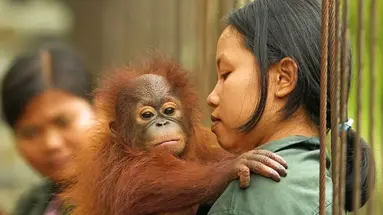 Do Serca Borneo