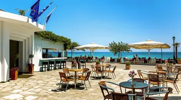 Dolphin Beach