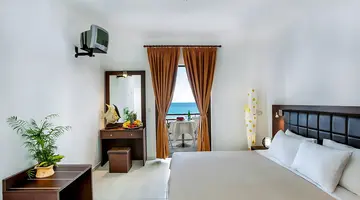Dolphin Beach