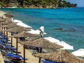 Dolphin Beach