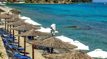 Dolphin Beach