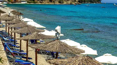 Dolphin Beach