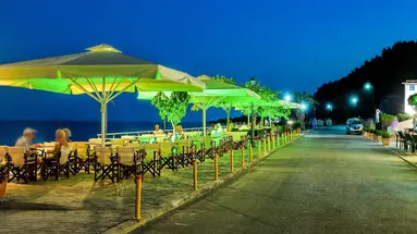 Dolphin Beach