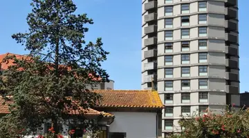 Dom Henrique - ...