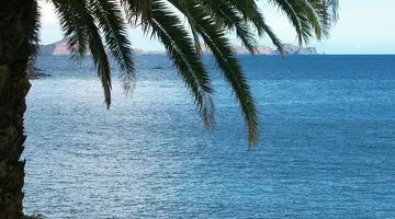 Dom Pedro Madeira Ocean Beach