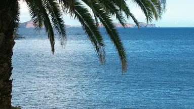 Dom Pedro Madeira Ocean Beach