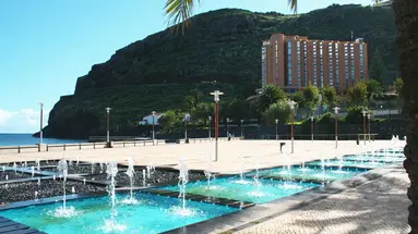 Dom Pedro Madeira