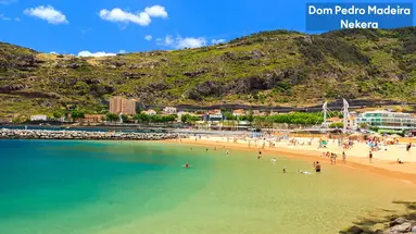 Dom Pedro Madeira