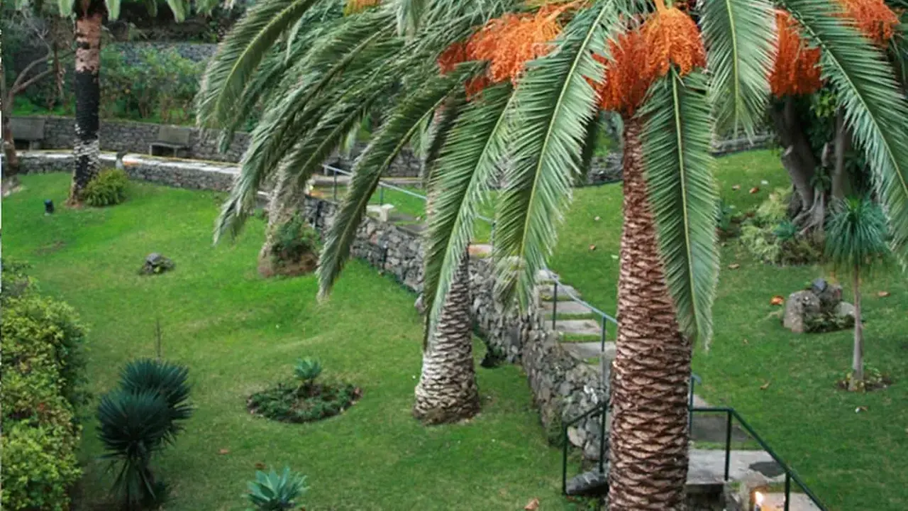 Dom Pedro Madeira