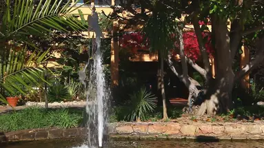 Dom Pedro Vilamoura Resort