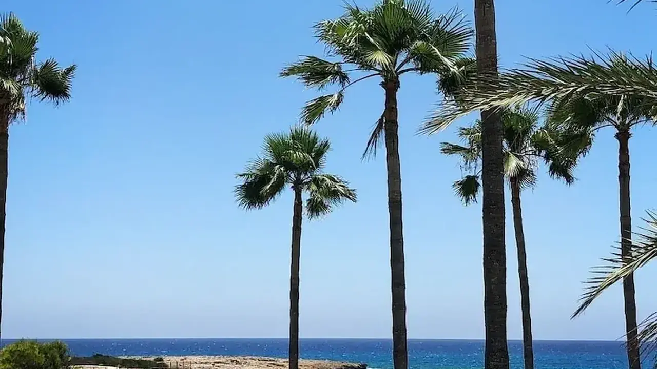 Dome Beach Marina Hotel & Resort
