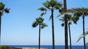 Dome Beach Marina Hotel & Resort