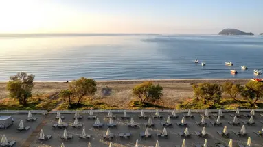 DOMES AULUS ZANTE, AUTOGRAPH COLLECTION